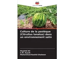 Culture de la pastèque (Citrullus lanatus) dans un environnement salin