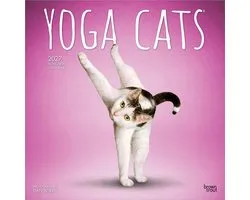 Yoga Cats Kalender 2027