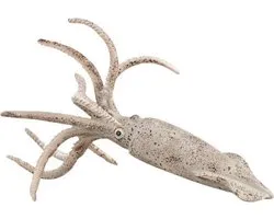 Collecta Play Animal Prehistoric Belemnite 14,3 Cm Abs Grijs