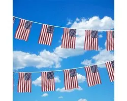 Amerikaanse Vlaggenlijn - Amerika Vlaggenlijn - 10 meter - WK Voetbal 2026 - America Flagline - Originele Kleuren - Sterke Kwaliteit Incl Bevestigingsringen - Hoogmoed Vlaggen