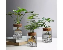 3 stations de culture - Terrarium de bureau avec bac en bois et couvercle pour la culture de plantes en hydroponie - Décoration pour bureau et maison - Plantes non incluses
