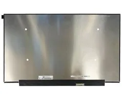 LCD Scherm geschikt voor MSI GE75 Raider 10SGS-200BE
