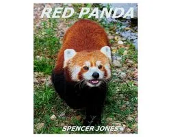 Amazing Nature Childrens Books- Red Panda