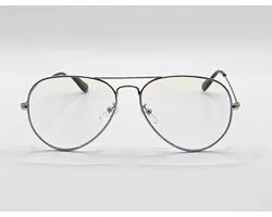 Unisex leesbril +2,0 / computerbril blauw filter / bril +2 met doekje 3025 / computerbril met sterkte +2.0 / blue light blocking glasses / zilveren montuur / beeldscherm bril op sterkte / gaming - computer bril / Aland optiek