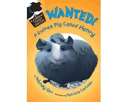 Rainbow Street Shelter 3 - WANTED! A Guinea Pig Called Henry