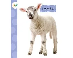 Spot Baby Farm Animals- Lambs