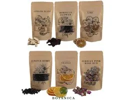 BOTANICA Gin Botanicals – Mix van 6 Soorten Ginkruiden – 100% Natuurlijk – 175 g – Perfect voor Gin Tonic & Cocktails, Drinks
