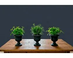 Serinova Mini Nergiz Bloempot - Elegant - Compact - Antraciet - Duurzaam - Uv-bestendig - Opvouwbaar