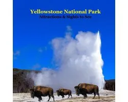 Yellowstone Park Attractions and Sights to See Kids Book