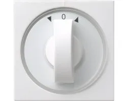 Gira Systeem 55 Schakelelement/Centrale Plaat - 066627 - E29EG