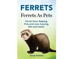 Ferrets. Ferrets As Pets. Ferret Care, Keeping, Pros and cons, housing, diet and health.