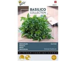 Buzzy® basilicum Greek Basil Bush Ball - Compacte en aromatische basilicum voor potten