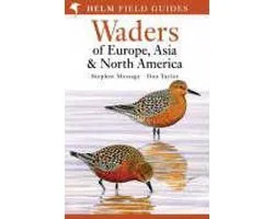 Waders Of Europe, Asia And North America