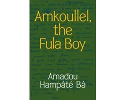 Amkoullel, the Fula Boy