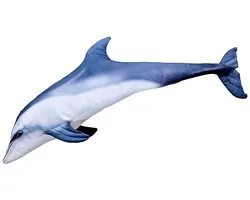 Gaby vis kussen Dolfijn / Tuimelaar 125 cm