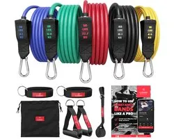 bemaxx Resistance Bands Weerstandsbanden Fitness Set + Trainings eBook - Expander Tubes - Elastische Work-Out Power Weerstand Banden: 5 Elastiek, Handvaten, Deuranker, Enkelbanden | Krachttraining Gym