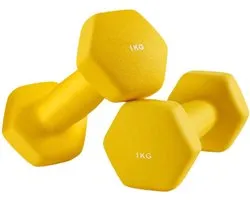 Set Dumbbell - Poids libres - Poids d'exercice - Musculation peu encombrante - 2 x 1 kg - Fonte avec revêtement en vinyle
