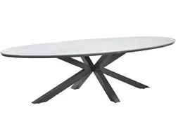 Garden Impressions Edison tuintafel - ovaal - 280 cm - grey teak Vironwood