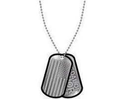 MEDAL OF HONOR WARFIGHTER - Dog Tags Flag and Logo