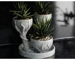 Vetplant Pot met 3 Plantvakken – Three Cups Succulent Planter – Decoratieve Cactus en Vetplant Houder voor Binnen – Grijs