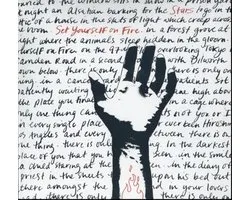 Stars - Set Yourself On Fire (LP)