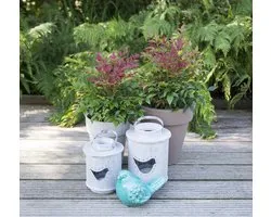Nandina d. Obsessed - Set van 4 - Hemelse Bamboe - Pot 2 Liter - Wintergroen
