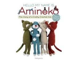 Hello My Name Is Amineko