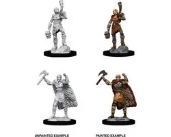 D&D Nolzur's Marvelous Miniatures Human Barbarian Female 2
