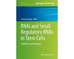 RNAi and Small Regulatory RNAs in Stem Cells