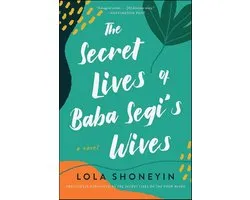 The Secret Lives of Baba Segi's Wives