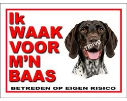 Gammel Dansk Hønsehund 9