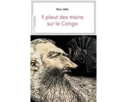 Je est ailleurs - Il pleut des mains sur le Congo