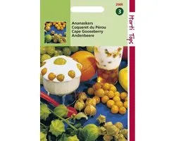 Hortitops Zaden - Ananaskers - Physalis Edulis (Peruviana)