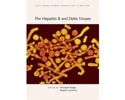 The Hepatitis B and Delta Viruses