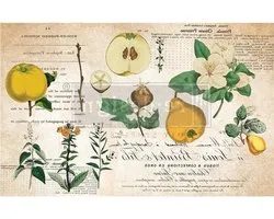 Redesign with Prima, Redesign decoupage decor tissuepapier sleutelbloem, 1 vel (19 "x30") Redesign Tissue Knippapier 655350650704