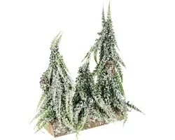 Mini Fir Tree Christmas Decoration with Wooden Base and Artificial Snow
