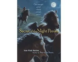 Secret of the Night Ponies