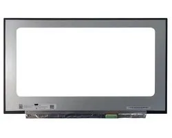 LCD Scherm geschikt voor Asus ROG Strix G17 G713PI-LL066W (240Hz)