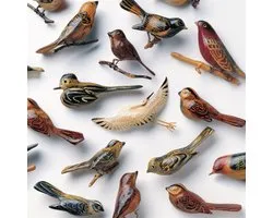 Kishi Bashi - Omoiyari (LP) (Coloured Vinyl)