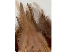 Creative Feathers 8,5-15cm 15pcs earth