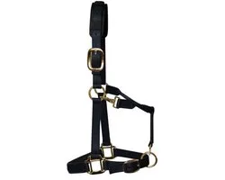 KM Elite - Luxe Gevoerde Halster – Zwart - Large - Full