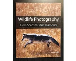 Wildlife Photography