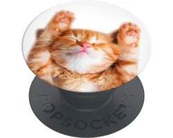 PopSockets PopGrip Basic - Telefoonbutton en Standaard (niet verwisselbaar) - Snoozy Cat