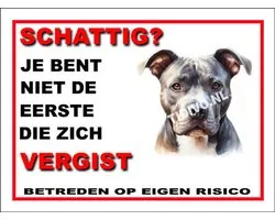 American Pit Bull Terrier 13