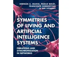 Symmetries of Living and Artificial Intelligence Systems