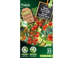Graines de légumes Protecta : Tomate Cocktail cerise