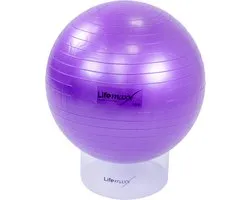 Gymball 55CM (Violet)