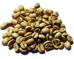 India Arabica Monsooned Malabar AA ASPINWALL - grains de café non torréfiés - 1 kilo
