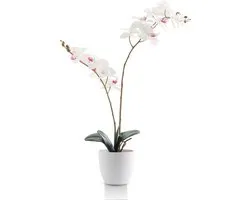 Meisterhome Kunstorchidee 65 cm – Realistische Phalaenopsis Orchidee – Bloeiende Kunstplant – Onderhoudsvrij – Witte Bloemen – In Pot – Luxe Woondecoratie