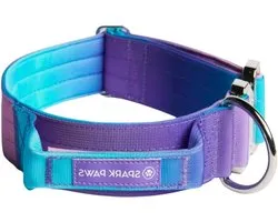 Collier tactique pour chien pour grandes races fortes - qualité premium - design robuste et durable - style rétro années 90 - boxeurs pitbulls - Spark Paws